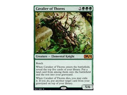 Cavalier of Thorns