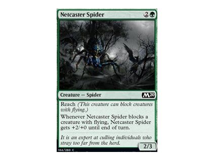 Netcaster Spider