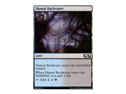 Dismal Backwater