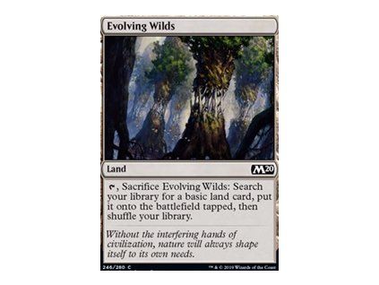 Evolving Wilds