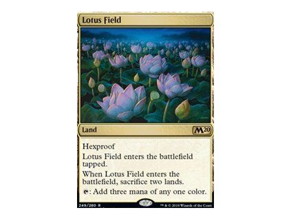 Lotus Field