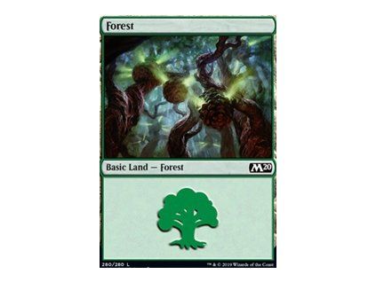 Forest