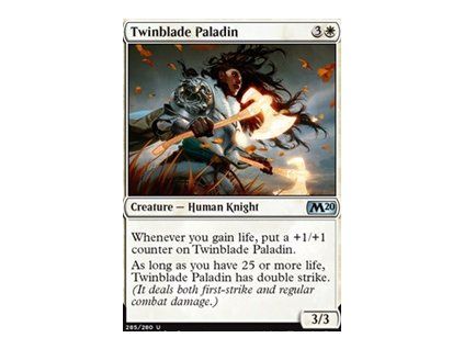 Twinblade Paladin