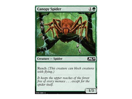 Canopy Spider