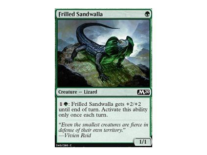Frilled Sandwalla