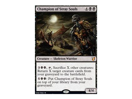 Champion of Stray Souls