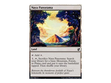 Naya Panorama