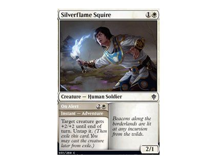 Silverflame Squire