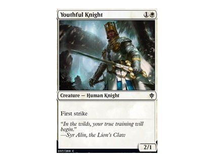 Youthful Knight