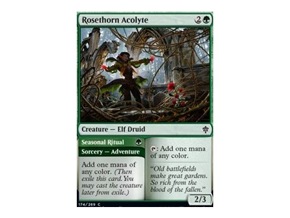 Rosethorn Acolyte (Foil NE, Stav Near Mint)