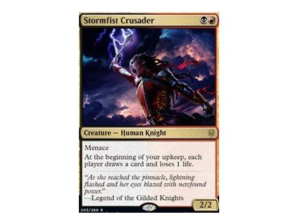 Stormfist Crusader