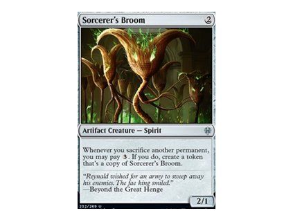 Sorcerer's Broom