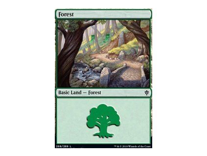 Forest