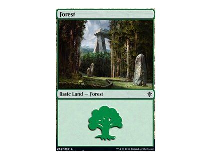 Forest