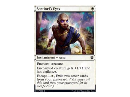 Sentinel's Eyes