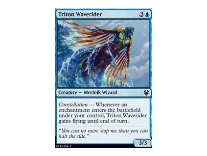 Triton Waverider