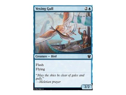 Vexing Gull