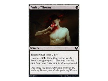 Fruit of Tizerus