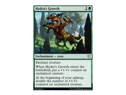 Hydra's Growth