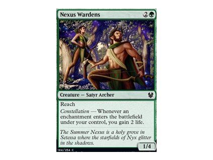 Nexus Wardens