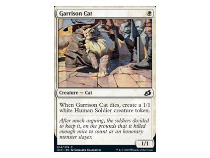 Garrison Cat