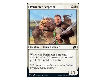 Perimeter Sergeant