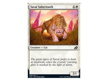 Savai Sabertooth