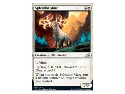 Splendor Mare