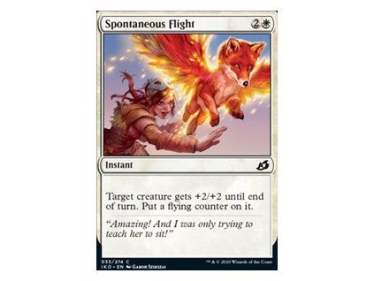 Spontaneous Flight