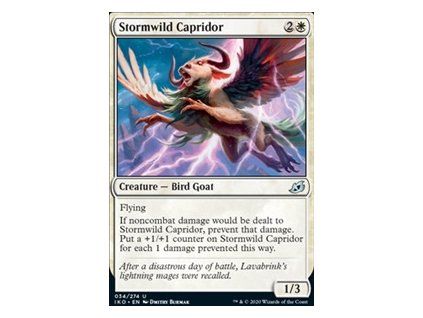 Stormwild Capridor