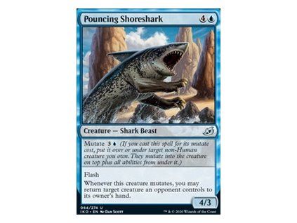 Pouncing Shoreshark