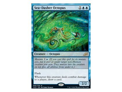 Sea-Dasher Octopus
