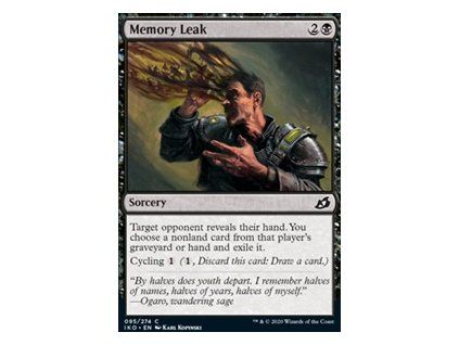 Memory Leak