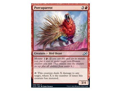 Porcuparrot