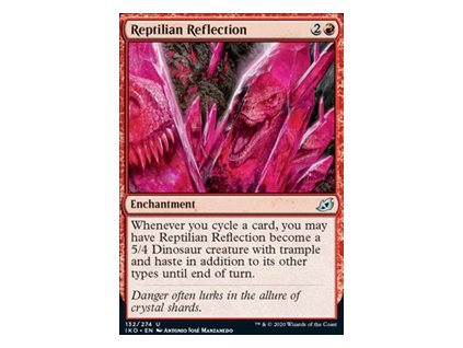 Reptilian Reflection