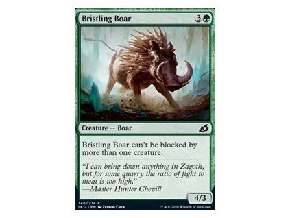 Bristling Boar