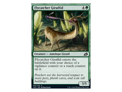 Flycatcher Giraffid