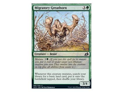 Migratory Greathorn