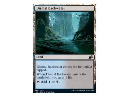 Dismal Backwater (Foil NE, Stav Near Mint)