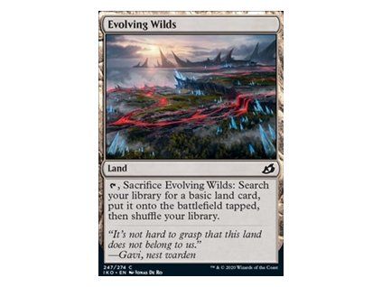 Evolving Wilds