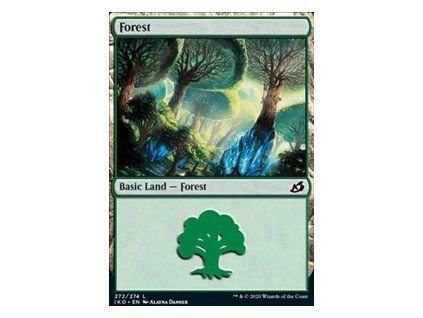 Forest