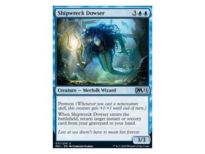 Shipwreck Dowser