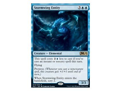 Stormwing Entity