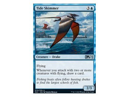 Tide Skimmer