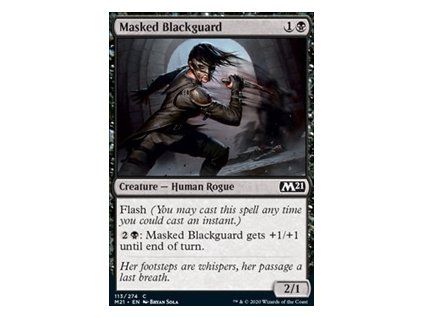 Masked Blackguard