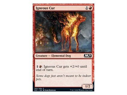 Igneous Cur