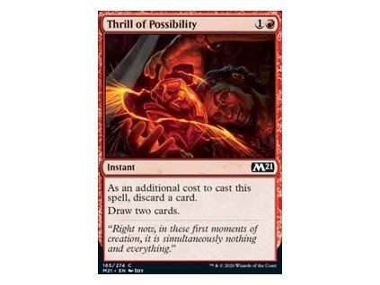 Thrill of Possibility