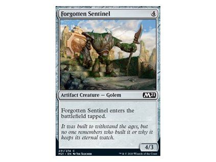 Forgotten Sentinel