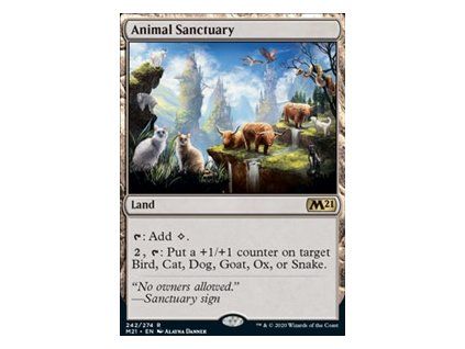 Animal Sanctuary