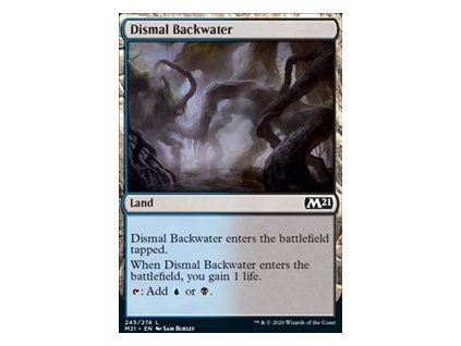 Dismal Backwater